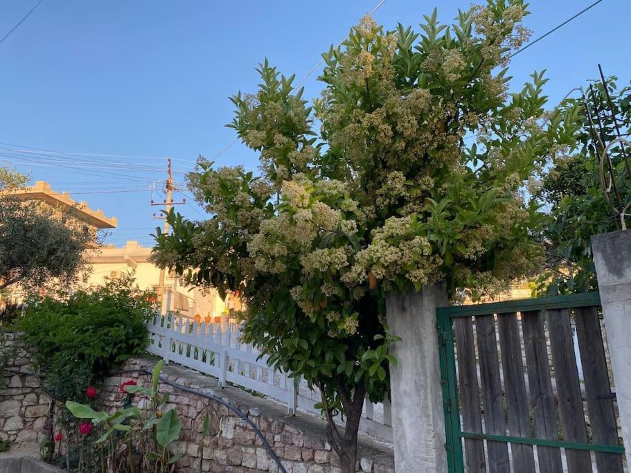 Guesthouse Xhimi Ksamil Exterior foto