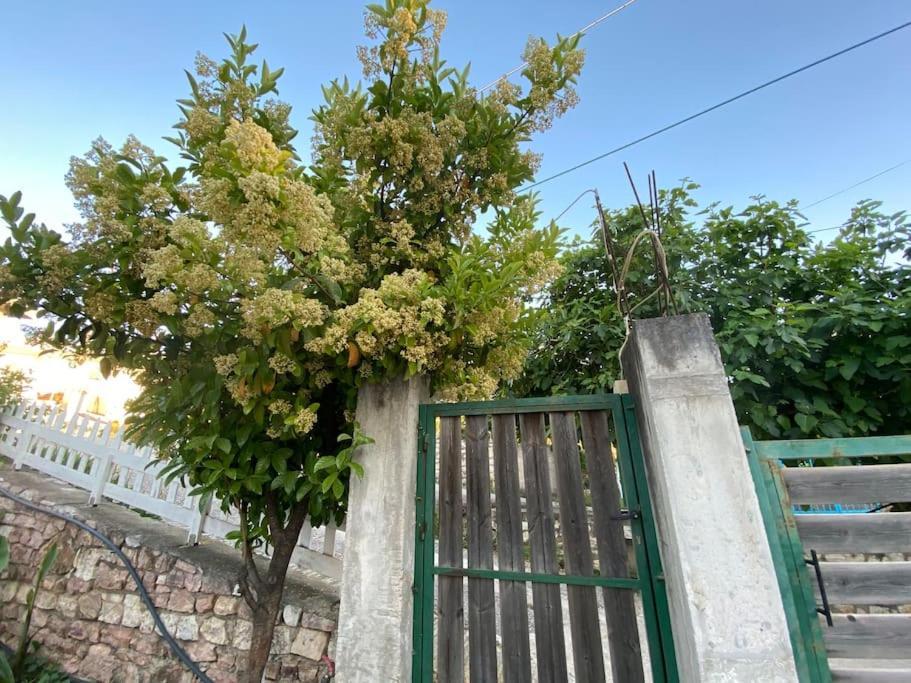 Guesthouse Xhimi Ksamil Exterior foto