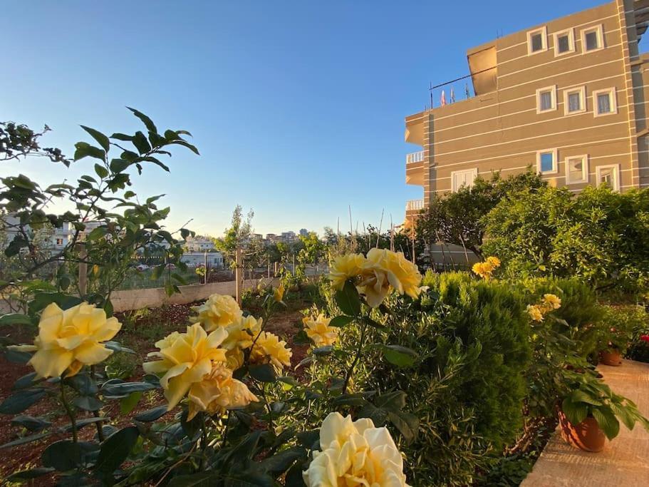 Guesthouse Xhimi Ksamil Exterior foto