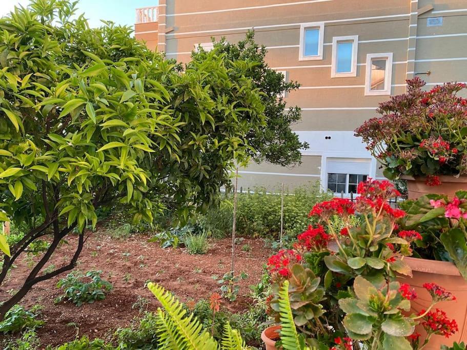 Guesthouse Xhimi Ksamil Exterior foto